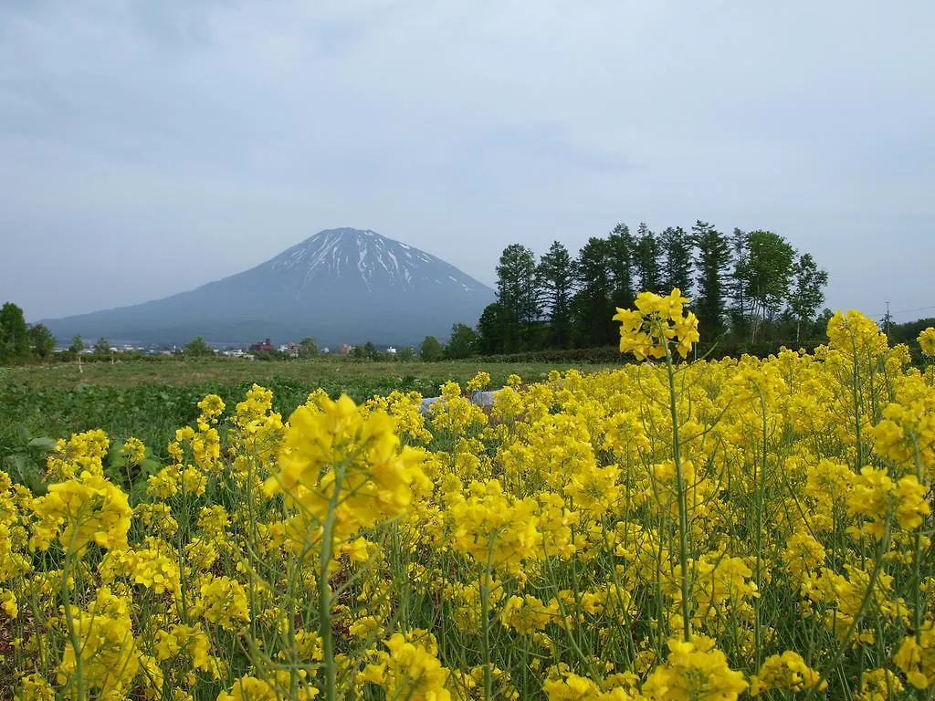 Auberge de jeunesse Niseko Tabi-Tsumugi Backpackers à Kutchan Japon